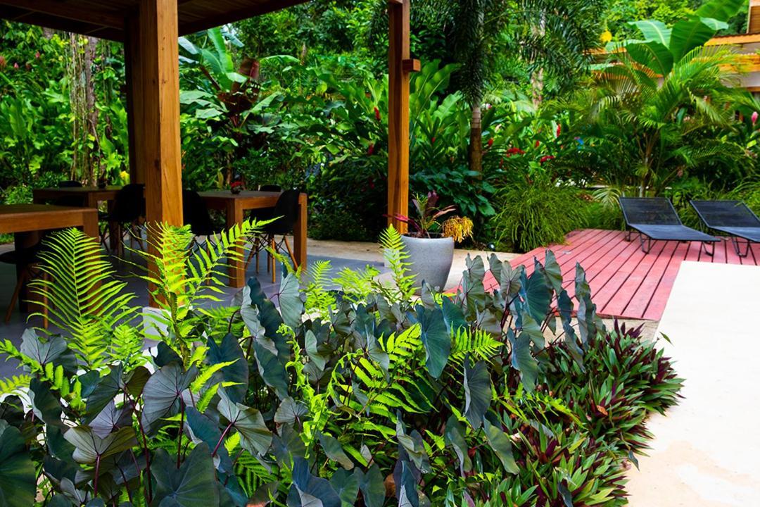 לינה וארוחת בוקר Puerto Viejo de Talamanca La Paz Del Caribe Adults Only מראה חיצוני תמונה