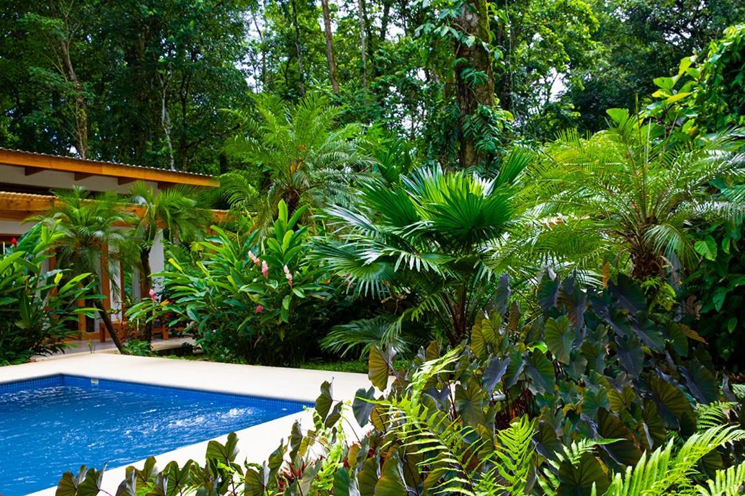 לינה וארוחת בוקר Puerto Viejo de Talamanca La Paz Del Caribe Adults Only מראה חיצוני תמונה