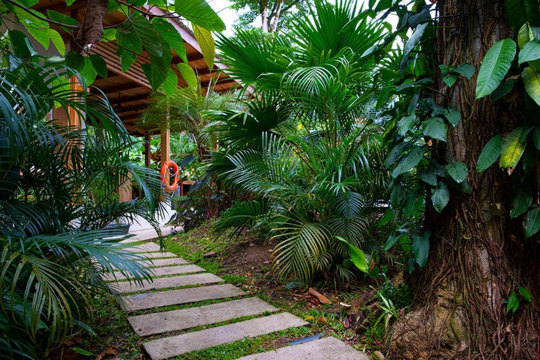 לינה וארוחת בוקר Puerto Viejo de Talamanca La Paz Del Caribe Adults Only מראה חיצוני תמונה