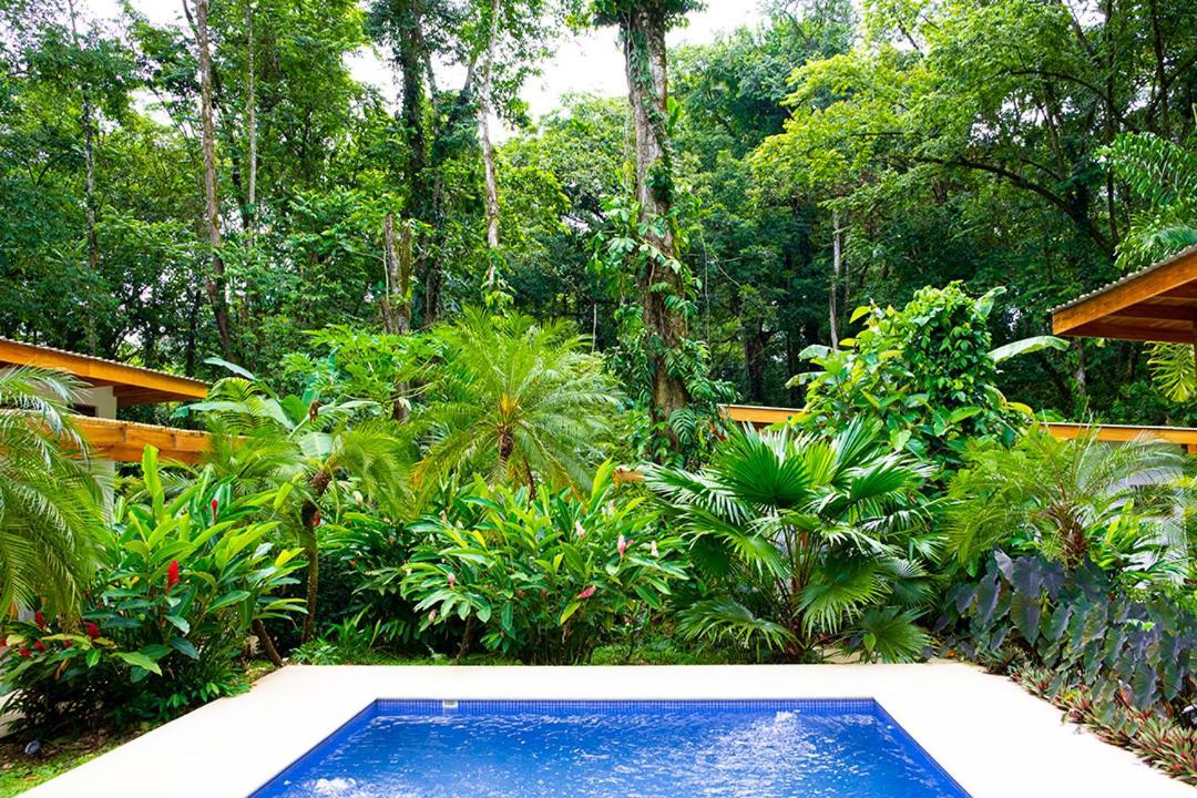 לינה וארוחת בוקר Puerto Viejo de Talamanca La Paz Del Caribe Adults Only מראה חיצוני תמונה