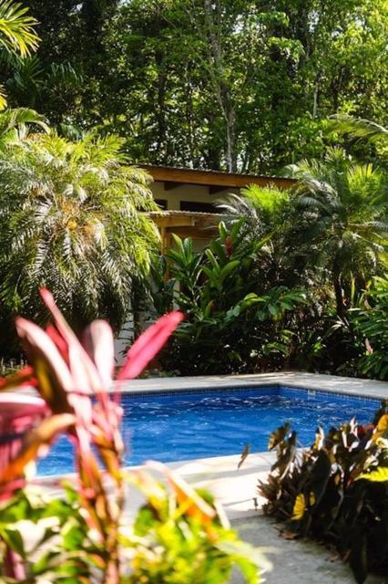 לינה וארוחת בוקר Puerto Viejo de Talamanca La Paz Del Caribe Adults Only מראה חיצוני תמונה
