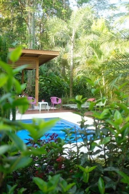 לינה וארוחת בוקר Puerto Viejo de Talamanca La Paz Del Caribe Adults Only מראה חיצוני תמונה