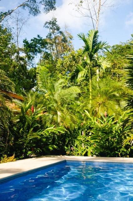 לינה וארוחת בוקר Puerto Viejo de Talamanca La Paz Del Caribe Adults Only מראה חיצוני תמונה