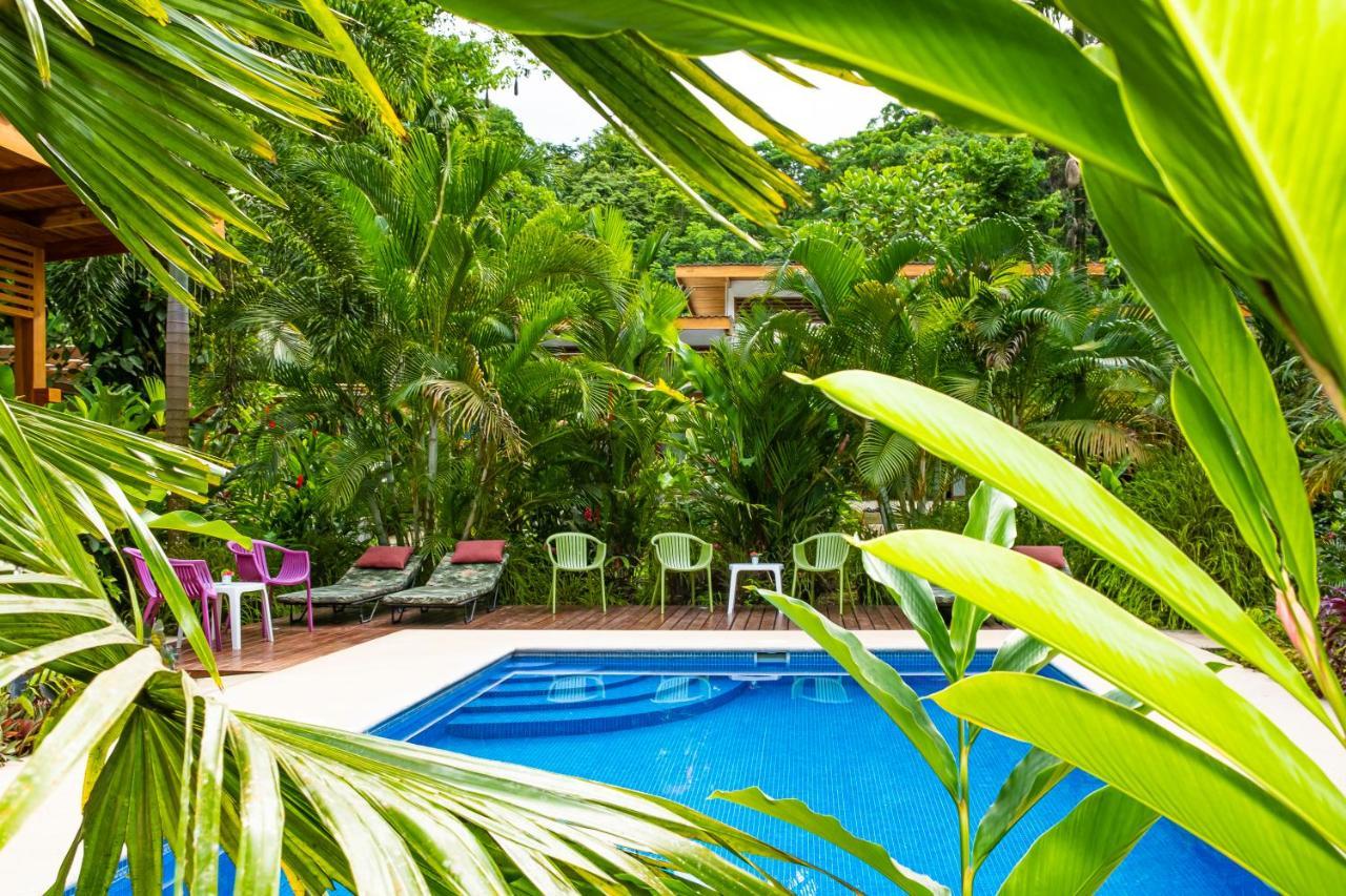 לינה וארוחת בוקר Puerto Viejo de Talamanca La Paz Del Caribe Adults Only מראה חיצוני תמונה