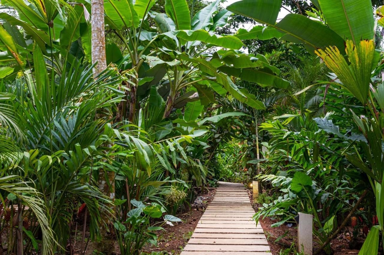 לינה וארוחת בוקר Puerto Viejo de Talamanca La Paz Del Caribe Adults Only מראה חיצוני תמונה