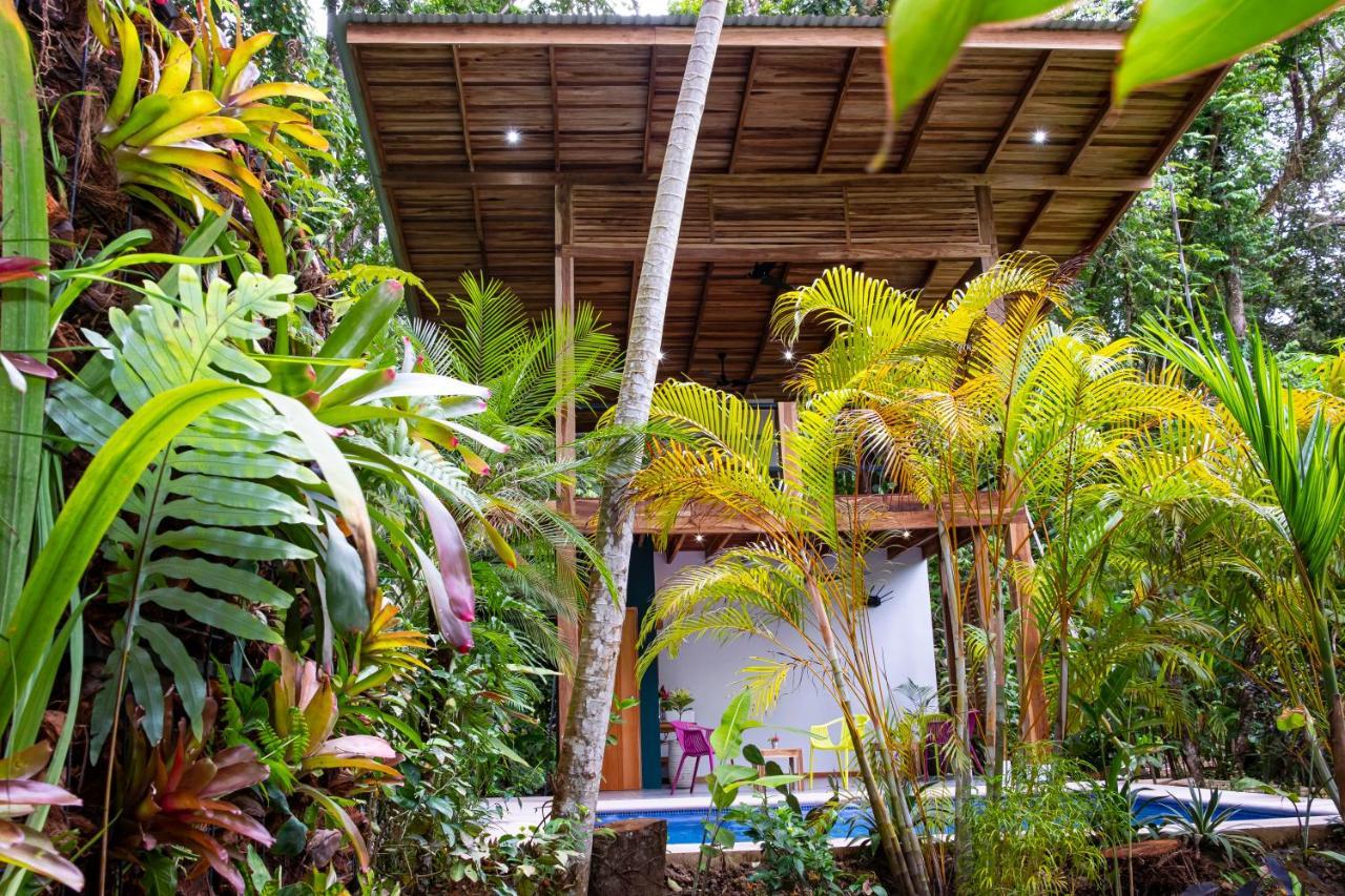 לינה וארוחת בוקר Puerto Viejo de Talamanca La Paz Del Caribe Adults Only מראה חיצוני תמונה