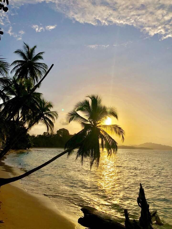 לינה וארוחת בוקר Puerto Viejo de Talamanca La Paz Del Caribe Adults Only מראה חיצוני תמונה